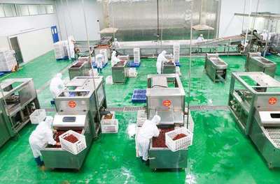 浙江名企“百草味”新疆工廠投產，助推新疆食品產業升級與區域協同發展